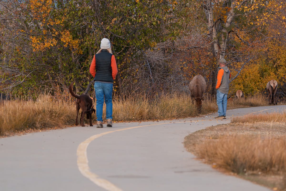 The Tourons of Estes Park